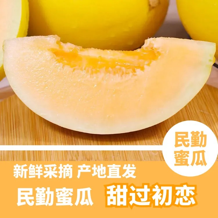 【直播专属】甘肃民勤蜜瓜沙漠蜜瓜冰激凌瓜甜瓜金红宝哈密瓜