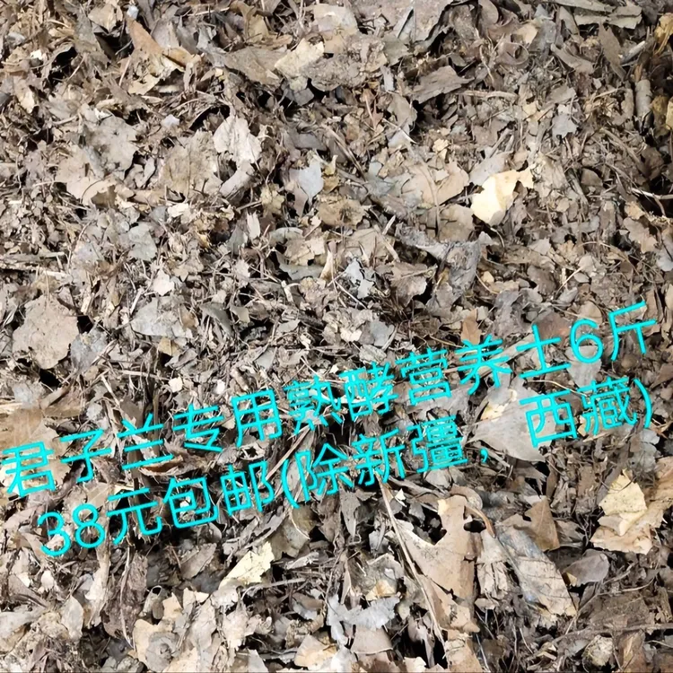 君子兰专用熟酵营养土腐叶土