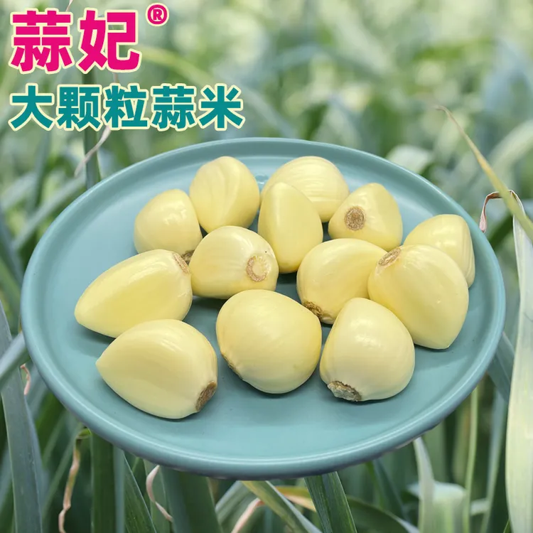 蒜妃山东苍山蒜米1斤去皮大蒜头剥皮大蒜瓣蒜子家商用餐饮装龙虾