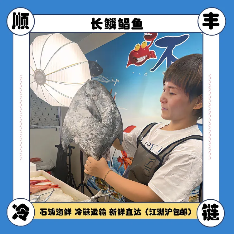 石浦东海打捞新鲜冷冻海捕大鲳鱼(长鳞鲳鱼) 清蒸葱油红烧食用