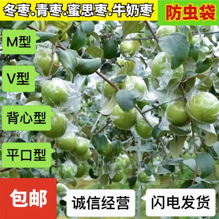 大青枣防虫袋蜜思枣专用袋百香果李子套袋包邮牛奶枣防虫透气袋