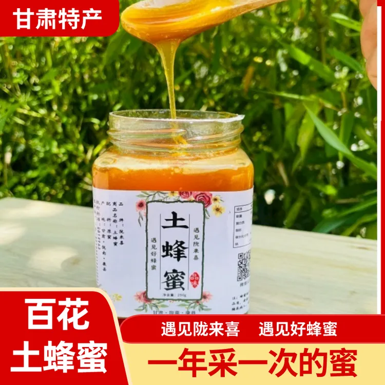 陇来喜500g土蜂蜜农家散养无添加浓缩土蜂蜜秦岭蜂蜜500g瓶装包邮