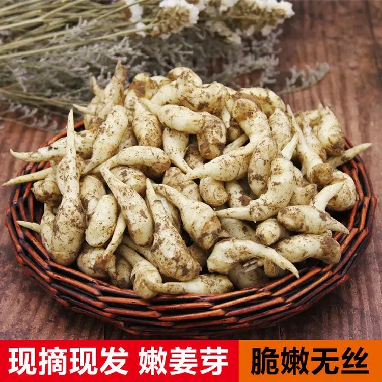 山东姜芽仔姜嫩姜芽新鲜嫩子姜新嫩姜姜芽鲜姜红芽姜