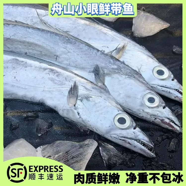 舟山小眼鲜带鱼 纯正东海野生带鱼 肉质细嫩 可蒸可煮