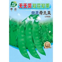 荷兰豆豌豆种子268天天采双花双荚甜脆荷兰豆种籽