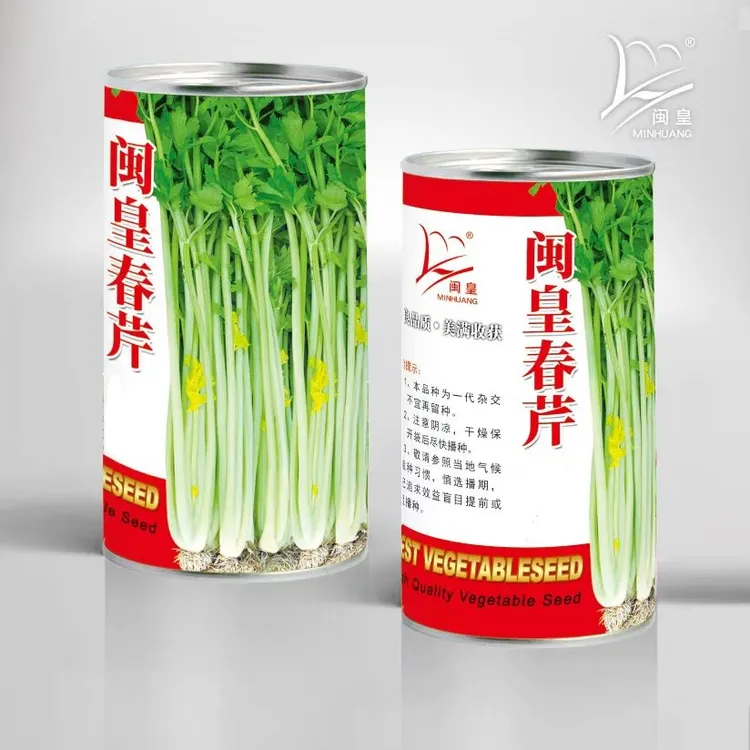 芹菜种子四季闽皇黄心香芹种子