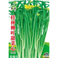 柳叶菜心种子148*桂林柳叶甜菜心种籽