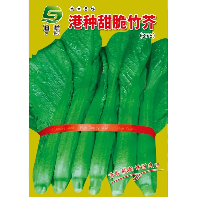 迪蔬芥菜种子376*港种甜脆竹芥种籽大包装