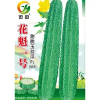 棱角丝瓜种子083*花魁一号优质棱角丝瓜种子