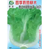 生菜种子267*四季抗热快大意大利甜脆生菜种籽