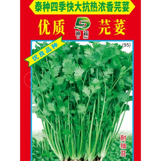 香菜种子095*泰种四季快大浓香芫荽种籽大包装