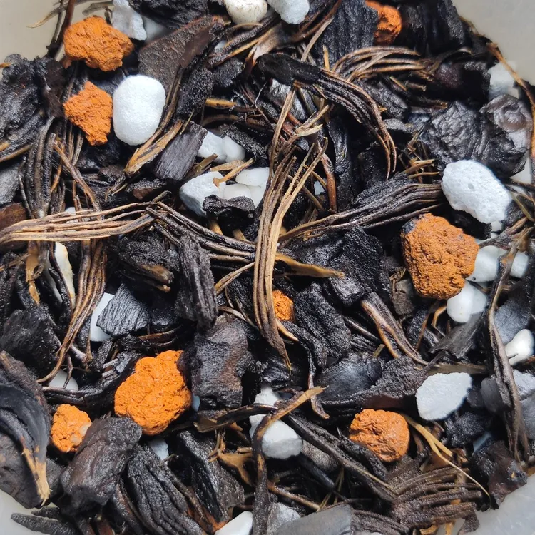 中颗粒七合一精品兰花植料所有兰科都适用兰花植料