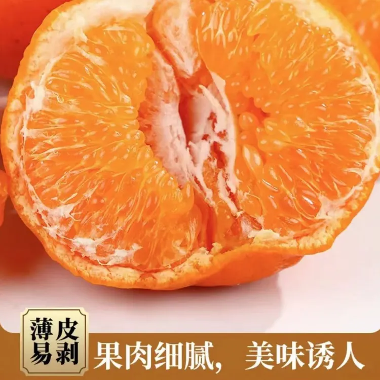 四川正宗春见耙耙柑柑橘水果 大果 8.5—9 斤 净重爆汁酸甜可口
