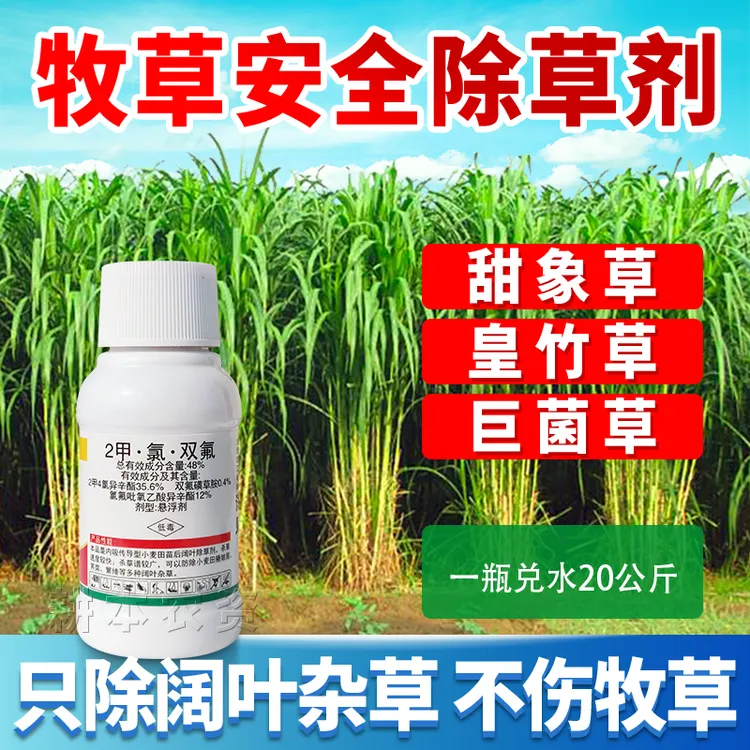 皇竹草甜象草黑麦草巨菌草苏高丹草墨西哥玉米草牧草专用除草剂药