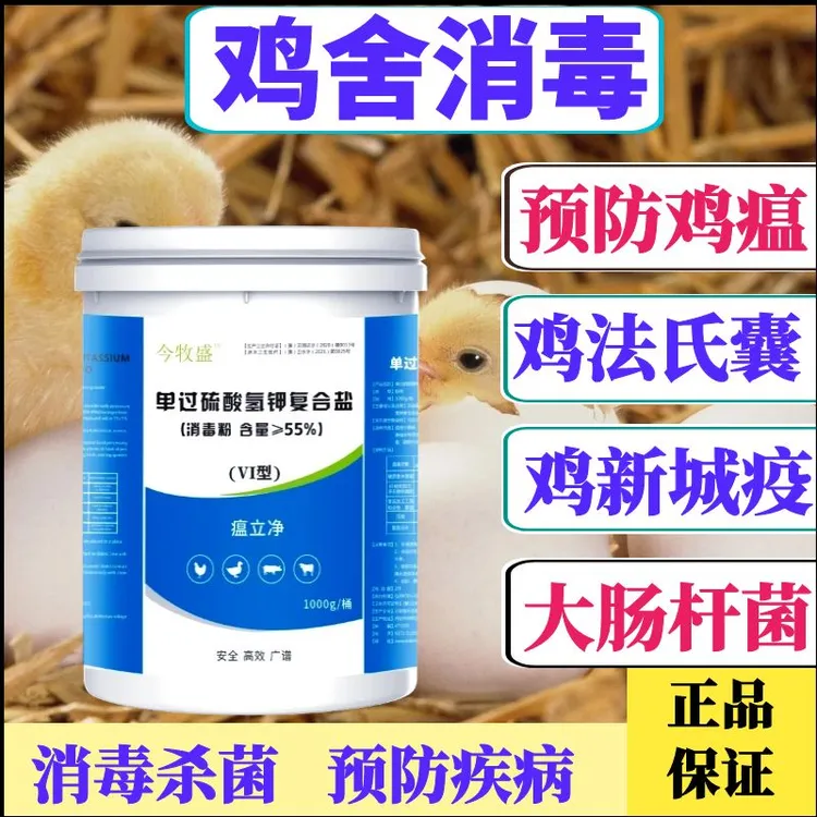 今牧盛鸡场消毒液过硫酸氢钾消毒粉适用鸡舍养殖有效杀菌预防鸡瘟