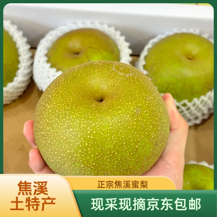 正宗焦溪蜜梨 三哥翠冠梨 7.5斤*1箱(梨带箱总重) 现采现摘