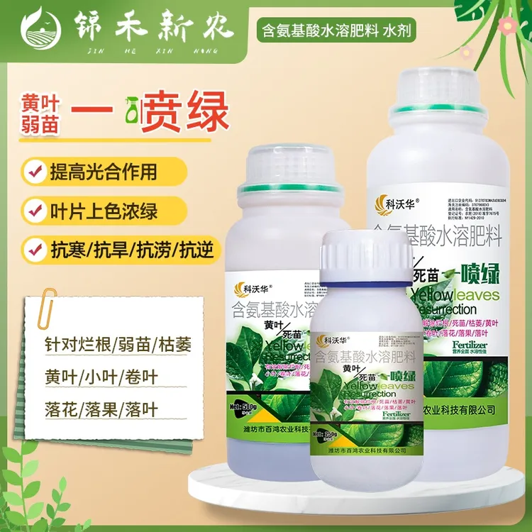 黄叶一喷绿黄叶变绿叶绿素花卉蔬菜果树微量元素通用水溶叶面肥料