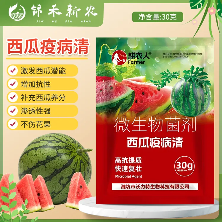 西瓜病菌清复合微生物菌剂麒麟西瓜京欣西瓜甜瓜蔬菜专用叶面肥料