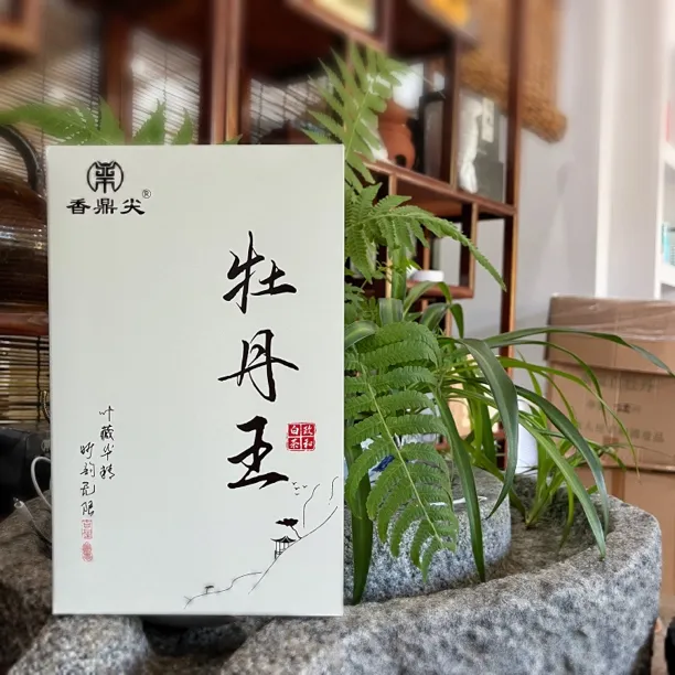 香鼎尖【牡丹王】花香白牡丹 2024年高山福大白牡丹 政和白茶100g