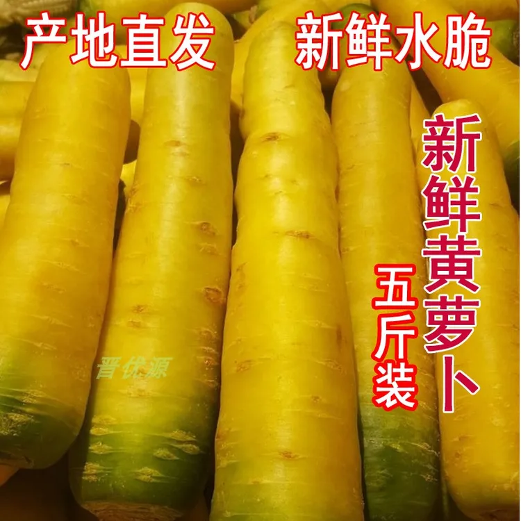 新疆新鲜黄萝卜新疆口味手抓饭黄胡萝卜农家自种生吃榨汁5斤包邮