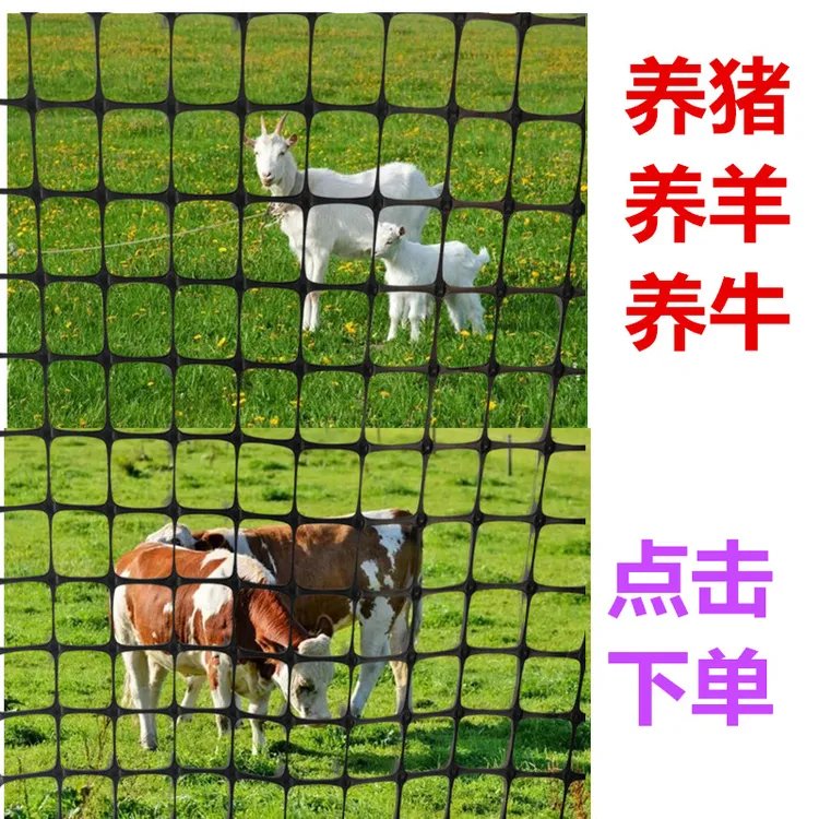 塑料网格防护网圈玉米网小孔养鸡鸭围栏护栏网隔离养殖网土工格栅