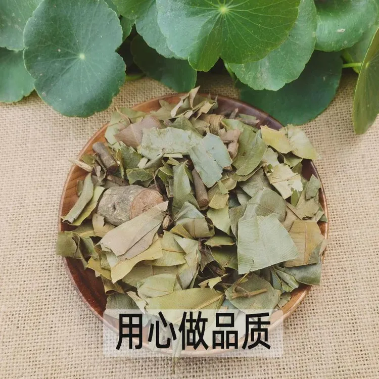 中药材横茎席自然横经席跌打将军碎骨莲梳篦木横径席