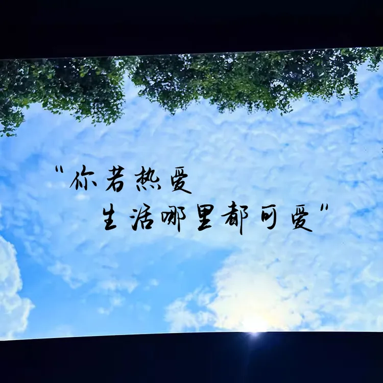 抖音热搜网红车贴汽车创意文字贴纸车身天窗后档玻璃装饰文字贴画