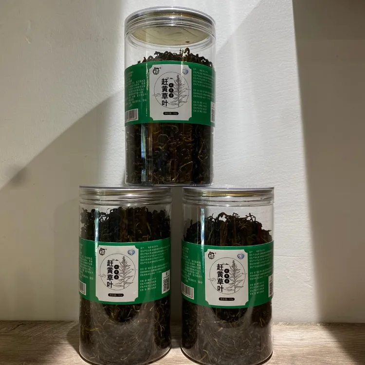 蔺沙溪 古蔺苗家赶黄草代用叶代用茶