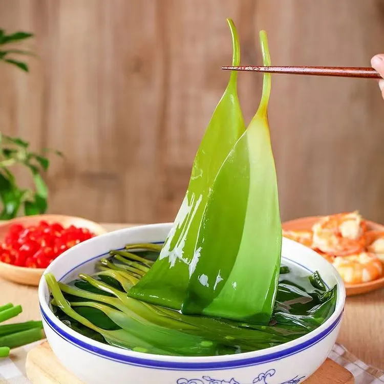 霞浦农产品海带苗腌制嫩芽凉拌煲汤火锅食用可口海带嫩苗/500克