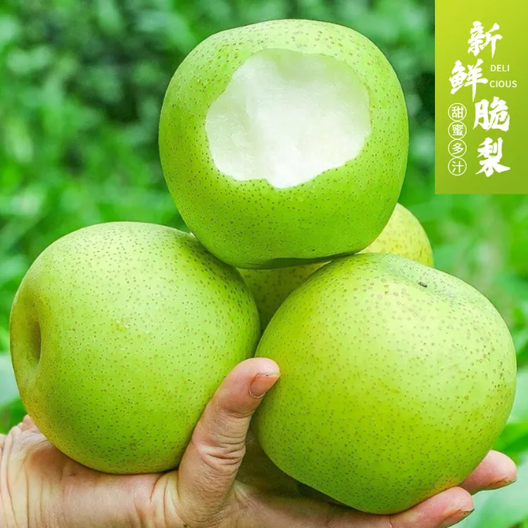 砀山青皮蜜梨脆甜无渣汁水新鲜正宗时令水果皇冠梨品质单果225g起