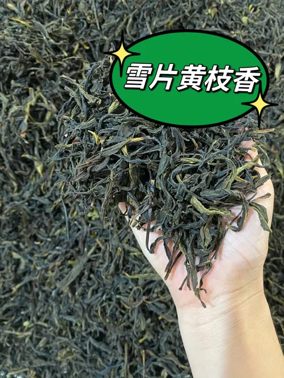 凤凰单丛茶从枞雪片鸭屎香蜜兰香黄枝香乌龙茶叶批发散装500g