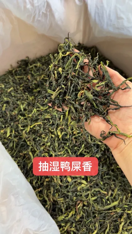 潮州凤凰单枞茶抽湿鸭屎香茶叶袋散装清香型单从茶单丛茶250g
