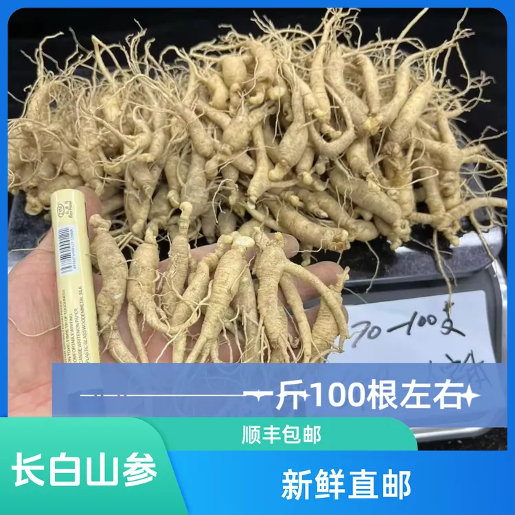 火锅店专用长白山新鲜人参一斤100根左右挺小的介意勿拍