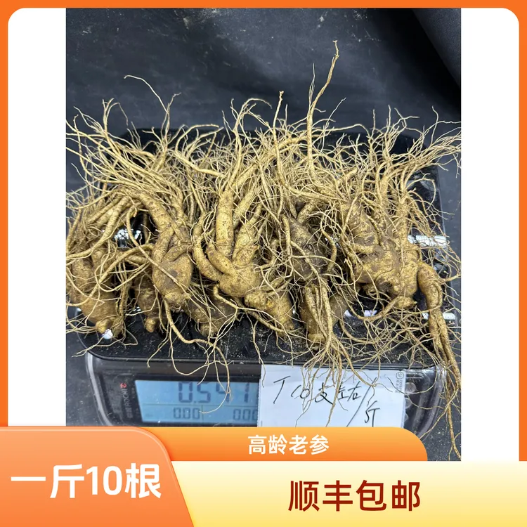 顺丰包邮微残一斤10根新鲜人参西洋参自己家吃实惠原产地发货