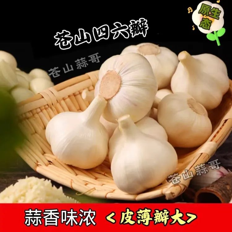 苍山四六瓣大蒜2025年新蒜正宗山东老品种干蒜白皮蒜头蒜香味浓