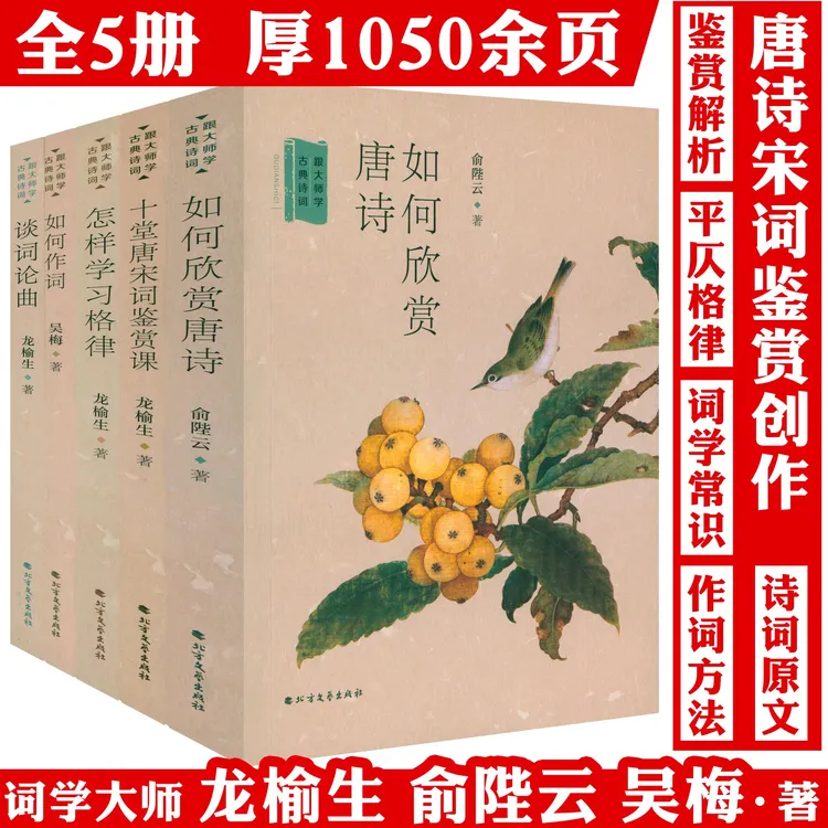 5册跟大师学古典诗词欣赏唐诗怎样学习格律写诗词鉴赏朗读格律书
