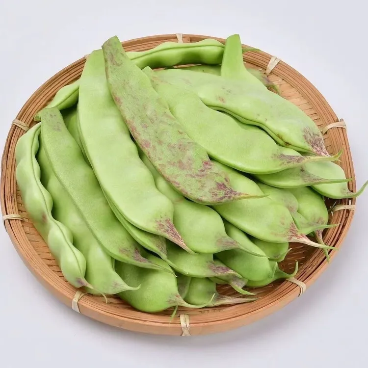 东北油豆角现摘新鲜一点红油豆角开锅烂农家豆角风格【顺丰包邮】