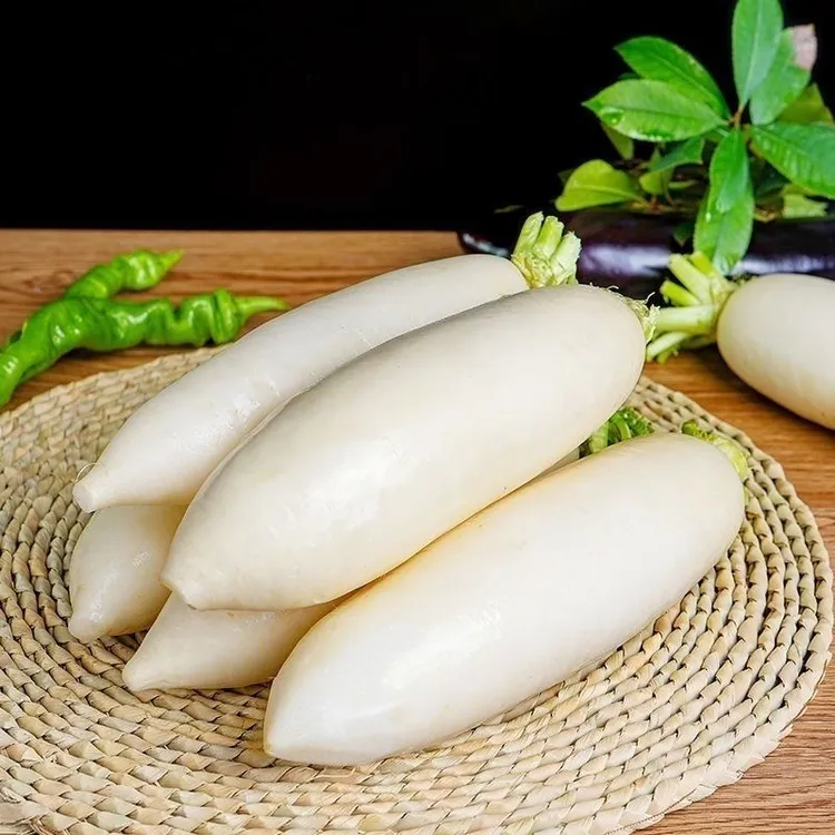 东北应季新鲜现挖白萝卜白皮白心水多脆嫩3/5斤【顺丰包邮】罗卜