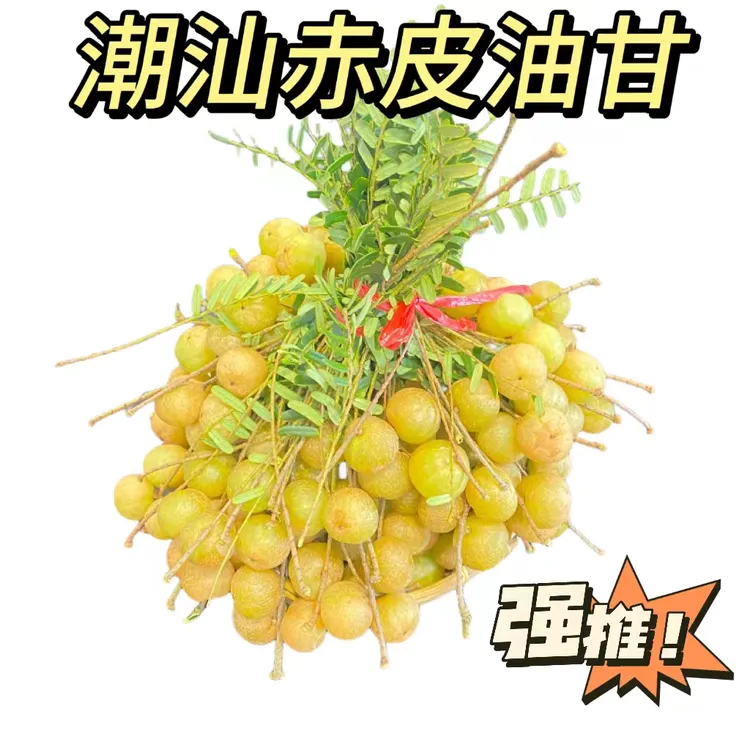 2025潮汕金灶赤皮油柑小个粗皮油柑酸涩度低回甘好煲汤榨汁一斤装