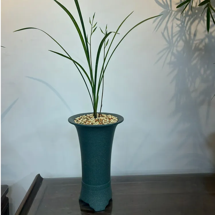 宜兴紫砂花盆  美人腰寒兰 莲瓣兰花盆 