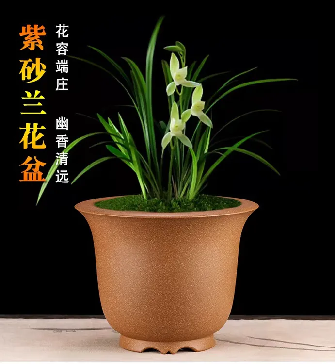 当代 宜兴林家紫砂兰花君子兰盆景专用花盆{新款金钟}