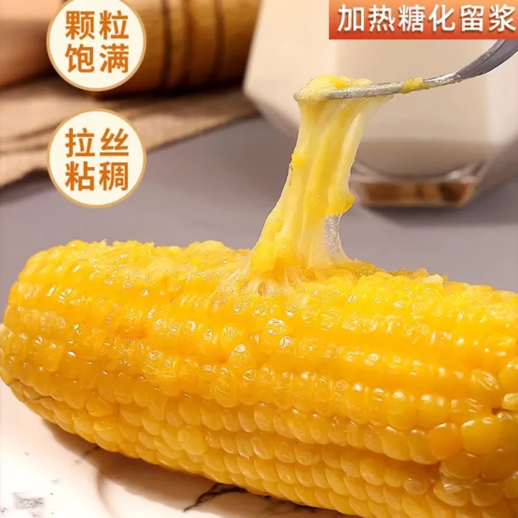 福优优250g*8支东北甜糯玉米黄糯粘糯黄香甜玉米真空包装黄玉米