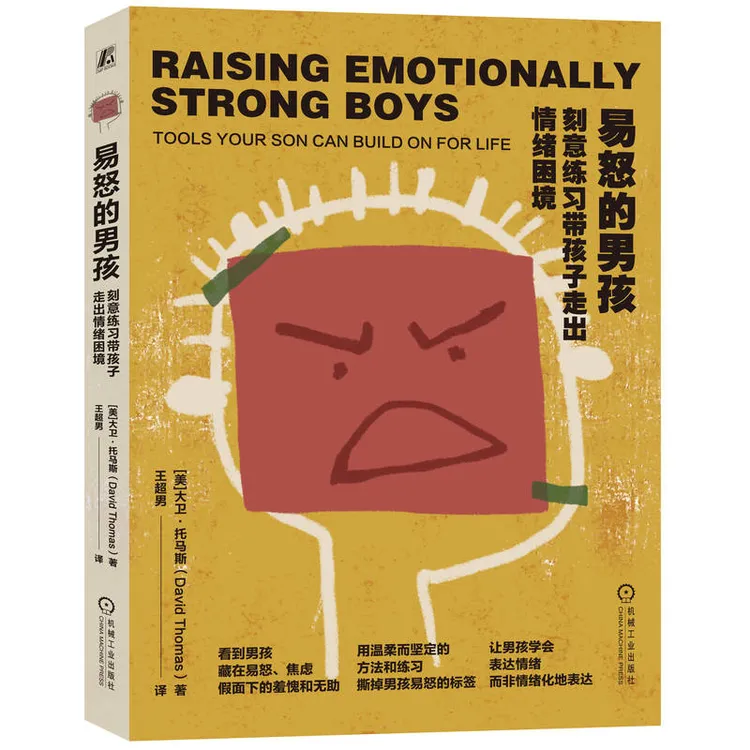 易怒的男孩：刻意练习带孩子走出情绪困境
