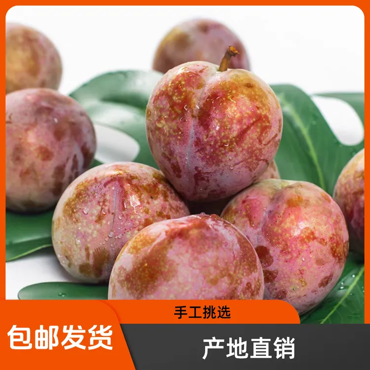 【产地直销】【江浙沪顺丰包邮】浙江嵊州红心桃形李子发货现货多汁