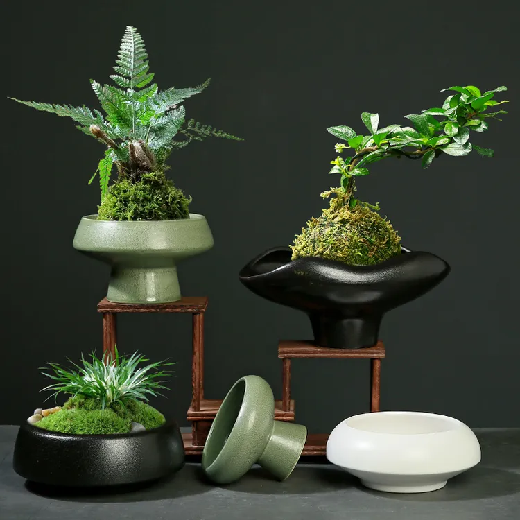 水培苔藓球绿植专用陶瓷花盆虹麟蕨类创意高脚无孔竹子飘枝兰花盆