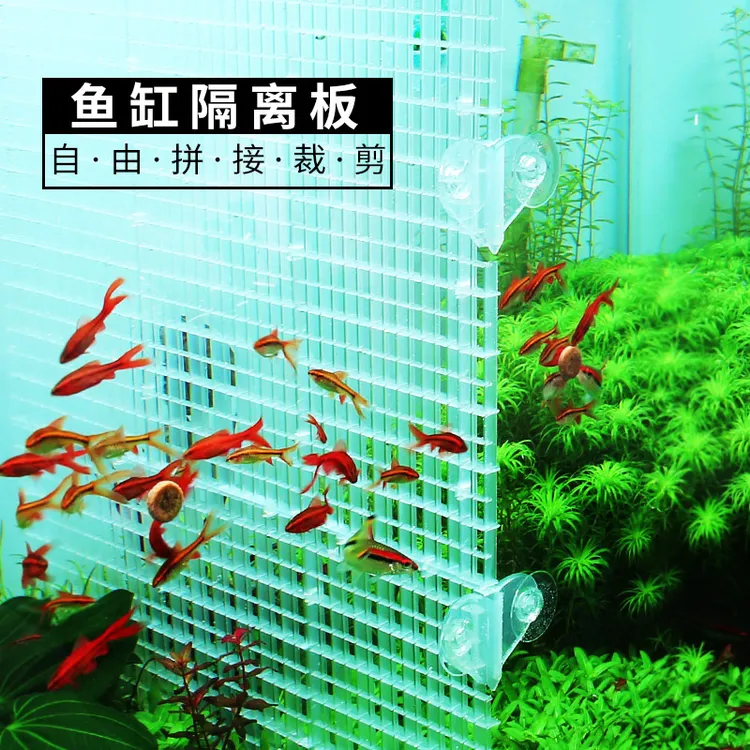 鱼缸隔离板自由裁剪亚克力隔离网分隔箱分离板透明网格底滤隔挡板