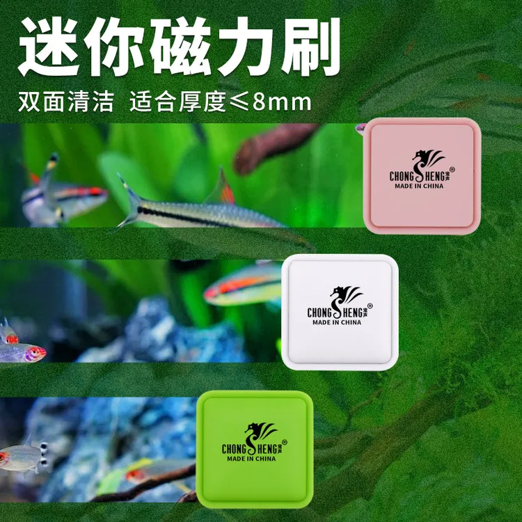 鱼缸刷迷你强力磁力刷小型绿色擦玻璃缸器清洗无死角清洁除藻神器