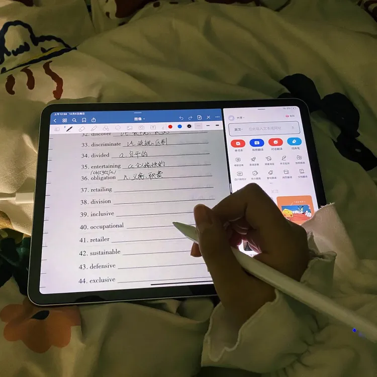 95新 Apple/苹果 iPad air超薄女生追剧日常办公剪辑便携平板电脑