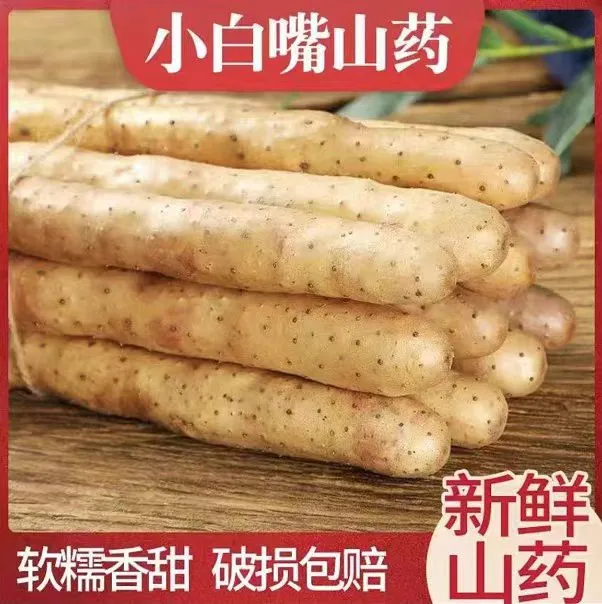 河北小白嘴铁棍淮山药粉糯香甜垆土种植新鲜5斤带土源头产地发货