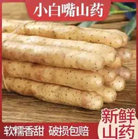 河北小白嘴铁棍淮山药粉糯香甜垆土种植新鲜5斤带土源头产地发货